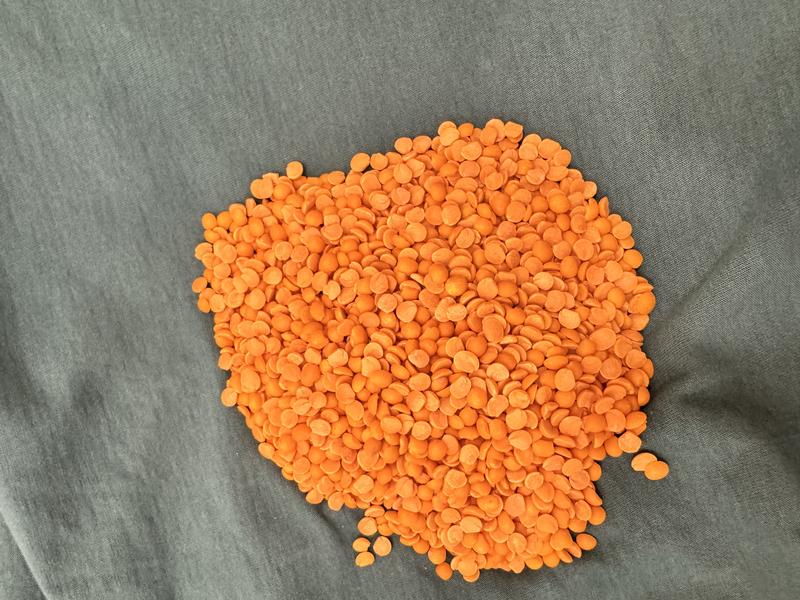 Dal nutrition protein health India